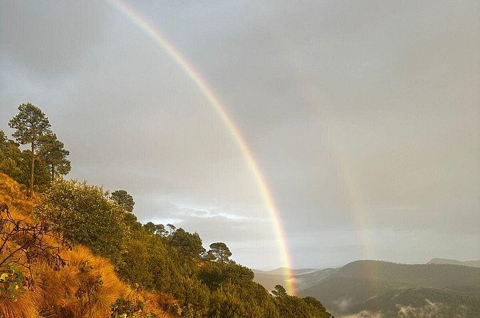 Sunrise in Las Alturas Hiking in El Pico del Aguila Tlalpan - Who Should Consider This Tour?