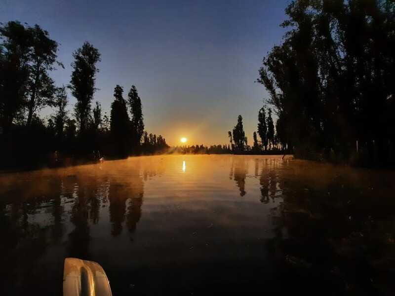 Sunrise in Xochimilco - Who Would Enjoy This?