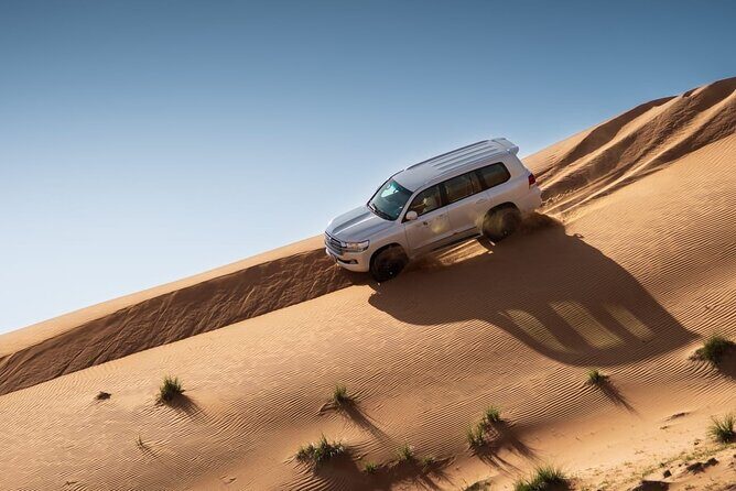 Sunrise/Morning Dune Drive with Camel Trek & Sand Surfing - An Authentic Look at the Sunrise Dune Drive