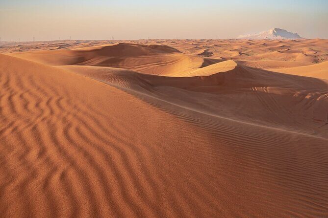 Sunrise/Morning Dune Drive with Camel Trek & Sand Surfing - Practical Details: What to Know Before You Go
