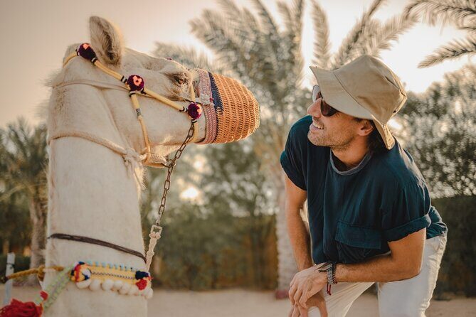 Sunrise/Morning Dune Drive with Camel Trek & Sand Surfing - The Sum Up