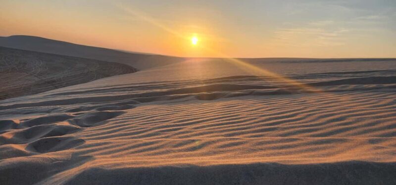 Sunrise or Sunset desert Safari with Sandboarding in Qatar - The Sum Up