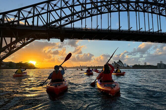 Sunrise Paddle Session on Syndey Harbour (single kayak) - Sunrise Paddle Session on Sydney Harbour (Single Kayak) – A Deep Dive