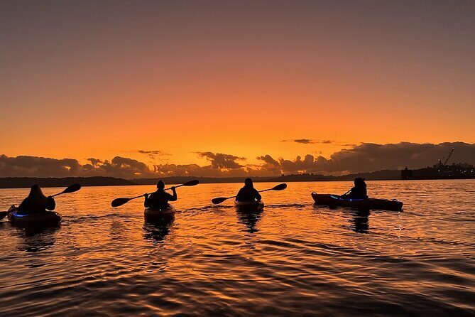 Sunrise Paddle Session on Syndey Harbour (single kayak) - FAQs