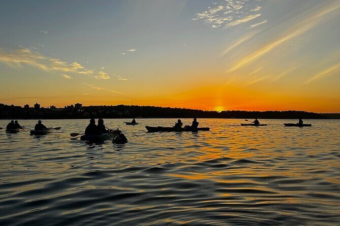 Sunrise Serenity Kayak Tour of Sydney Harbour - FAQ