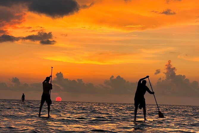 Sunrise Stand Up Paddle activity on a privileged beach. - A Detailed Look at the Sunrise Stand Up Paddle Activity in Cancun