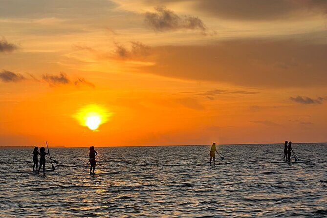 Sunrise Stand Up Paddle activity on a privileged beach. - What You Can Expect from the Sunrise SUP Tour