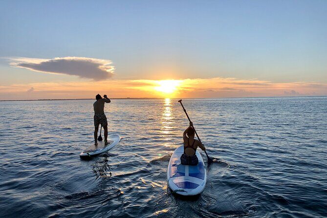Sunrise Stand Up Paddle activity on a privileged beach. - Authentic Insights from Travelers