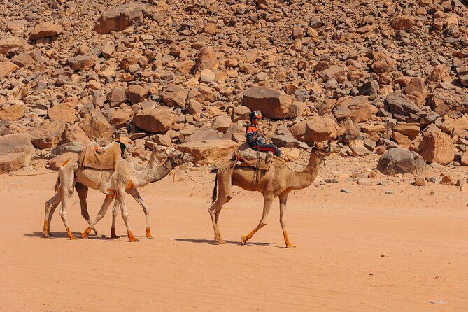 Sunrise & Sunset Tours | Magic Bedouin Star - FAQ