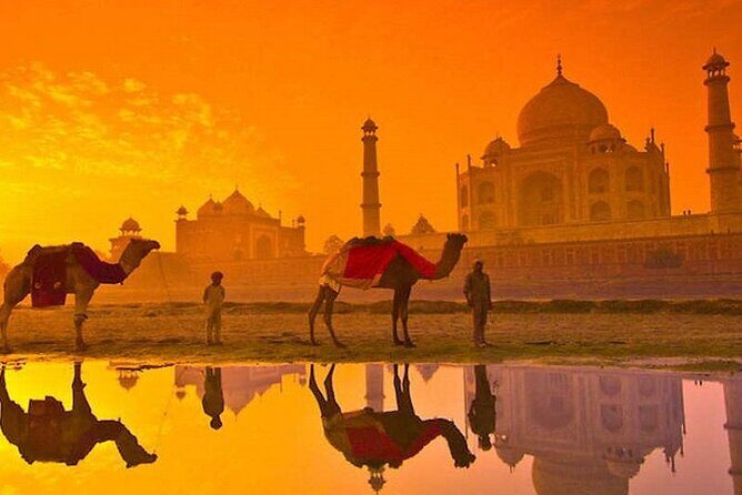Sunrise Taj Mahal, Agra Fort & Baby Taj Tour from Delhi by Car - Analyzing the Experience: A Practical Breakdown