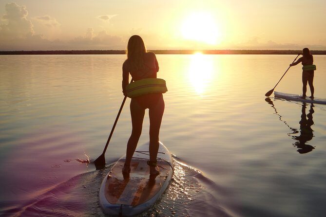 Sunrise Tour (Stand Up Paddle or Kayak) - Analyzing the Cost and Value