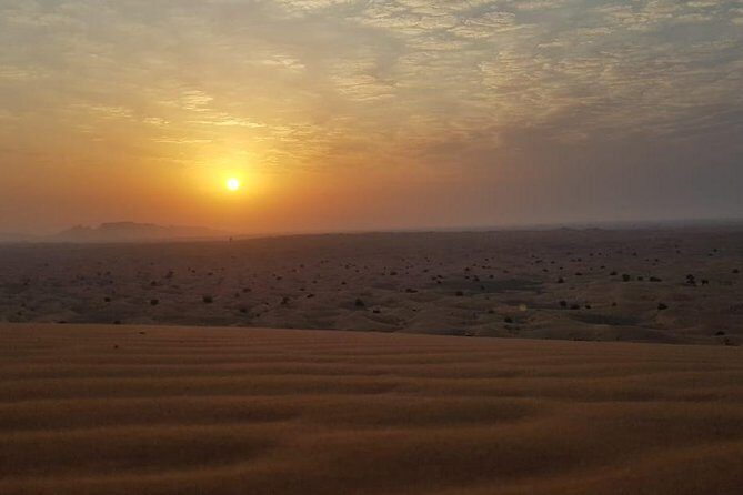 Sunrise View Safari - An In-Depth Look at the Sunrise View Safari Experience
