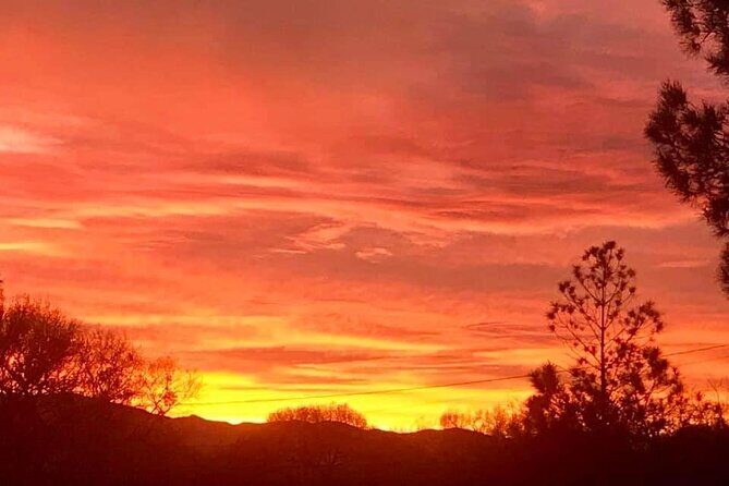 Sunrise Wildlife Safari Tour by Jeep from Sedona - Pricing and Value