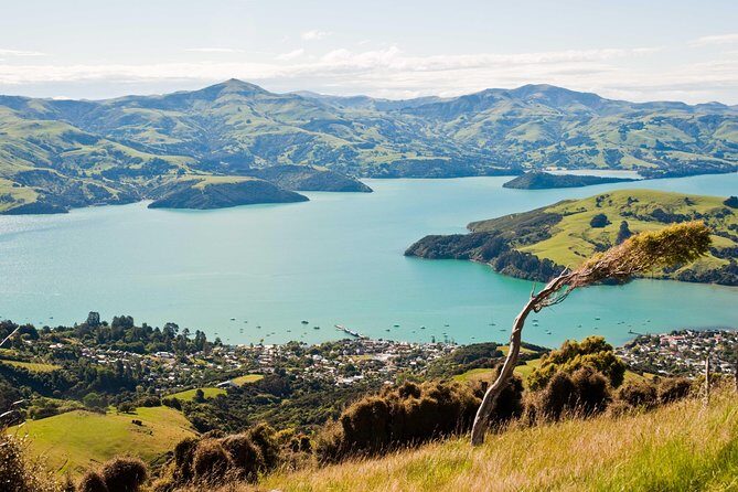 Sunrise wildlife sea kayaking in Akaroa marine reserve - Final Thoughts
