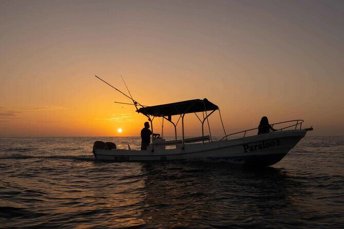 Sunrise with stars and Dolphin sighting in Puerto Escondido! - An In-Depth Look at the Experience