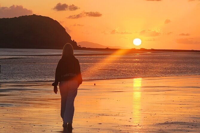 Sunrise with the kangaroos and wallabies - Practical Details and Booking Insights