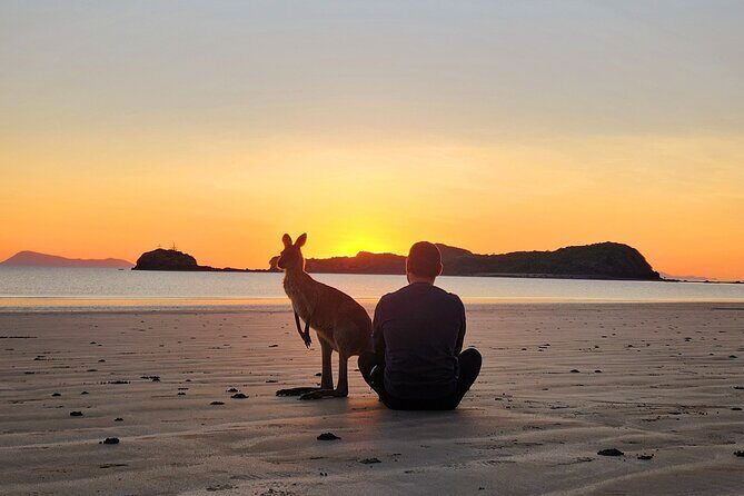 Sunrise with the kangaroos and wallabies - The Reviews: What Travelers Say