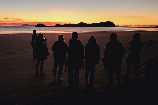 Sunrise with the kangaroos and wallabies - Final Thoughts: Is This Tour Right for You?