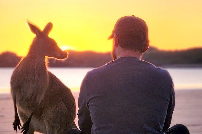 Sunrise with the kangaroos and wallabies - Who Should Consider This Tour?
