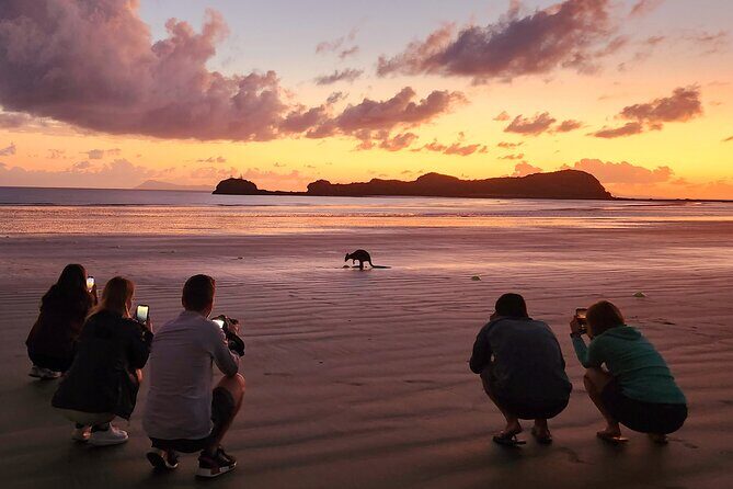 Sunrise with the kangaroos and wallabies - Final Thoughts: Is It Worth It?
