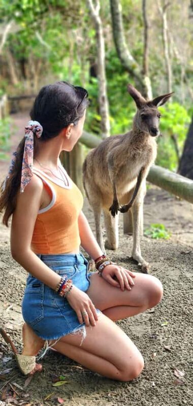 Sunrise with the Kangaroos & Wallabies - Airlie Beach - Key Points