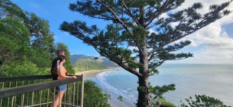Sunrise with the Kangaroos & Wallabies - Airlie Beach - Who Would Love This Tour?