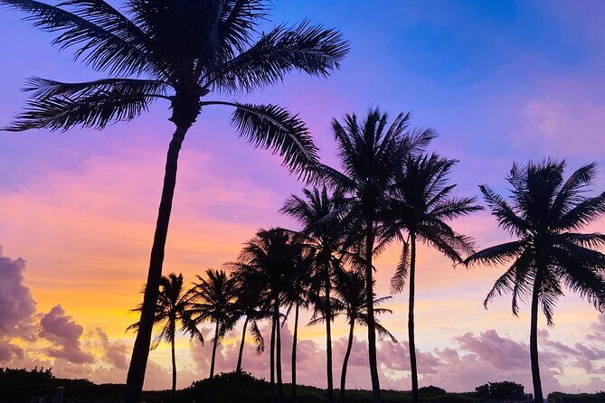 Sunrise Yoga and Meditation by the Ocean in Miami Beach - The Yoga and Meditation Session