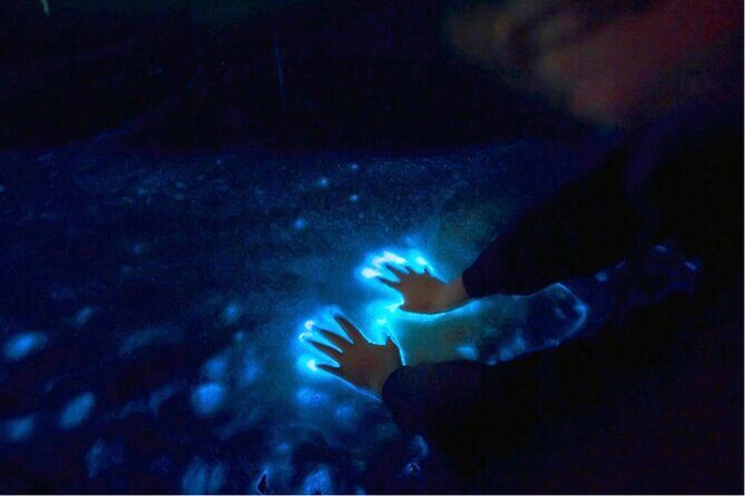Sunset and Bioluminescence Boat Tour at Los Arcos Islands - An In-Depth Look at the Tour Experience