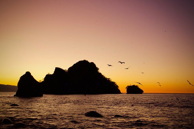 Sunset and Bioluminescence Boat Tour at Los Arcos Islands - FAQ