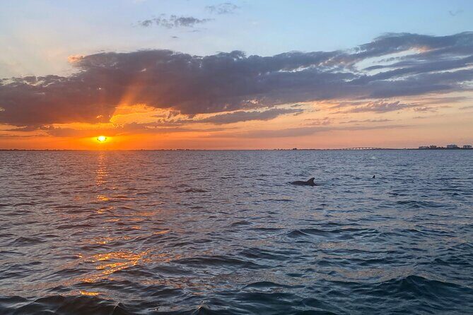 Sunset and Dolphin Cruise around Fort Myers Beach - The Sum Up: Why It’s Worth Considering