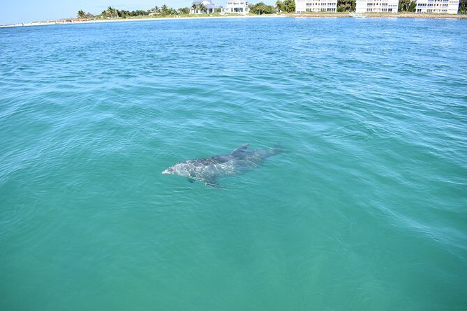 Sunset and Dolphin Cruise around Fort Myers Beach - FAQ