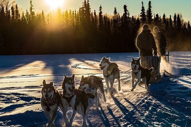 Sunset and Full Moon or Extended Ridge Top Mush - A Deep Dive into the Dog Sledding Experience
