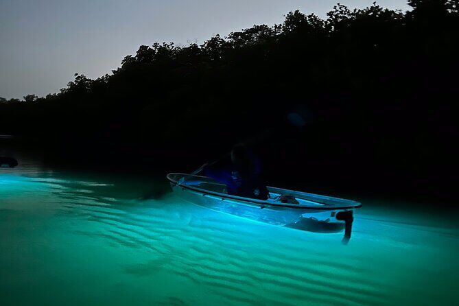 Sunset and Glow Clear Kayak Tour in North Naples - The Itinerary: A Closer Look