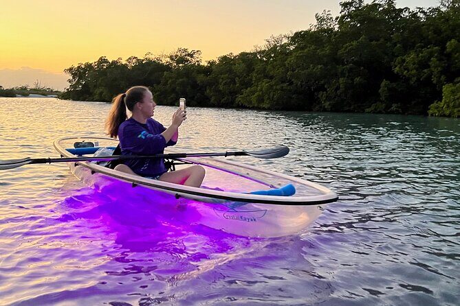 Sunset and Glow Clear Kayak Tour in North Naples - Authentic Reviews: What Travelers Are Saying