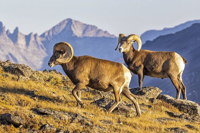 Sunset and Night Photography Tour on Trail Ridge Road - The Itinerary in Detail