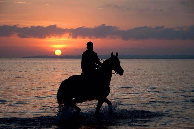 Sunset Beach Horseback Riding - Introducing the Sunset Beach Horseback Riding Tour in the Dominican Republic