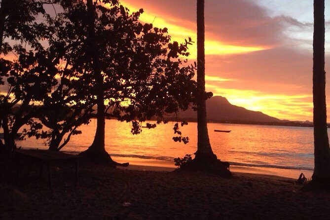 Sunset Beach Horseback Riding - A Deep Dive into the Experience