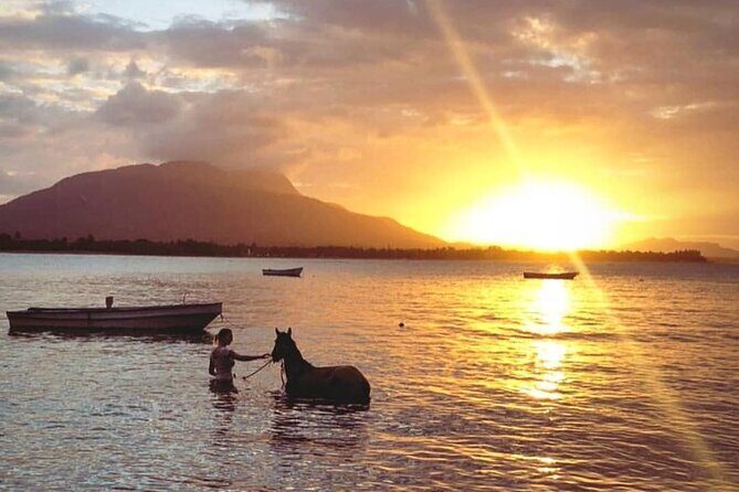 Sunset Beach Horseback Riding - The Sum Up