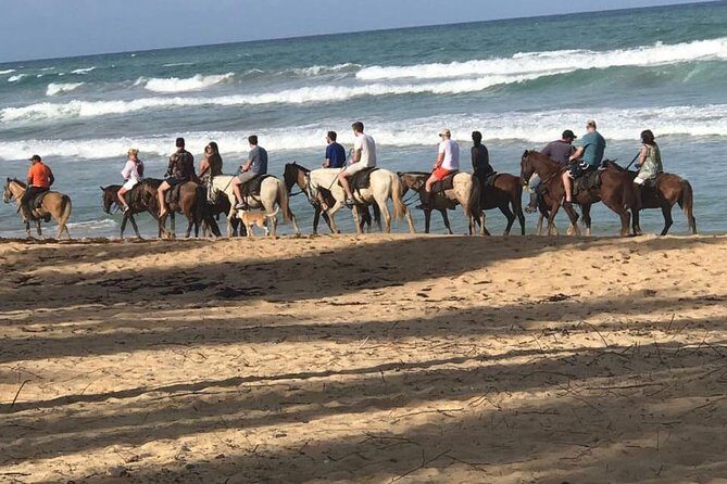 Sunset beach horsebackriding Punta Cana - Key Points