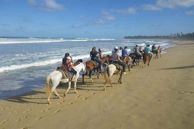 Sunset beach horsebackriding Punta Cana - Analyzing the Value