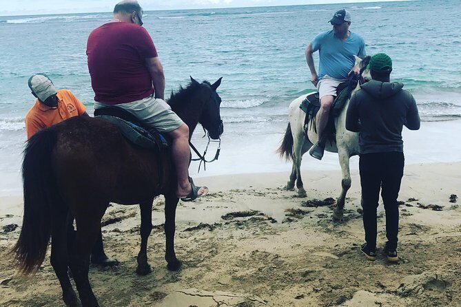 Sunset beach horsebackriding Punta Cana - The Sum Up
