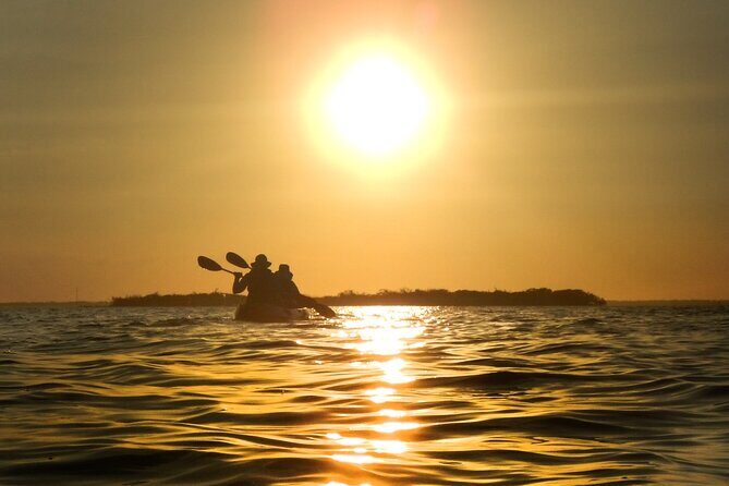 Sunset Bioluminescence Tour - Final Thoughts: Who Should Consider This Tour?