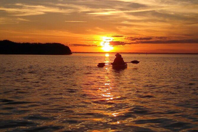 Sunset Bioluminescence Tour - Frequently Asked Questions (FAQs)