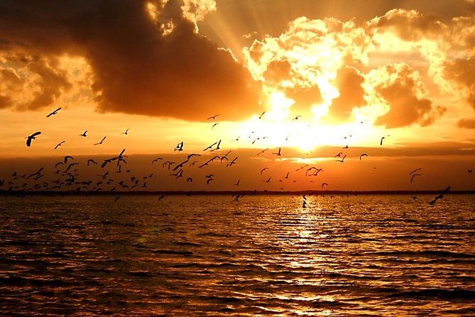 Sunset Bioluminescence Tour - The Sum Up