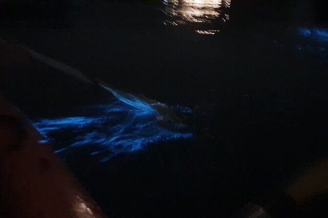 Sunset & Bioluminescent Plankton Kayaking Lan Ha bay - Key Points