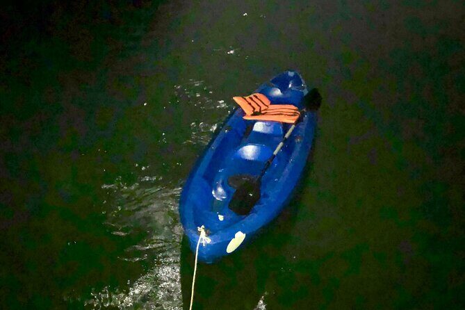 Sunset & Bioluminescent Plankton Kayaking Lan Ha bay - Is the Price Worth It?
