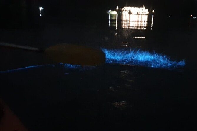 Sunset & Bioluminescent Plankton Kayaking Lan Ha bay - What the Reviews Say