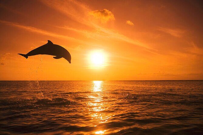 Sunset Boat Tour Around Anna Maria Island - Key Points