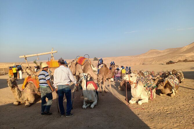 Sunset camel ride Agafay desert Marrakech - FAQs