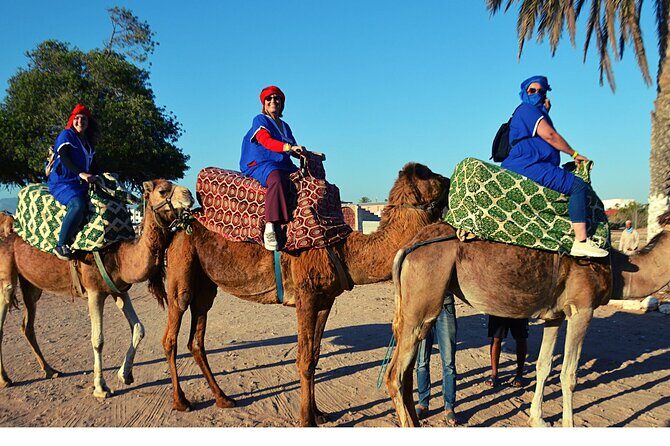 Sunset camel ride and barbecue dinner in Agadir - Authenticity and Value
